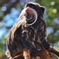 User picture for Daniel Francis
