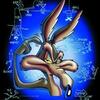 User picture for Paolo Veglio