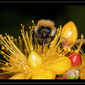 User picture for william houston