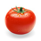 User picture for Red Kamatis
