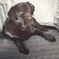 User picture for jevgeniy Vyazovoy