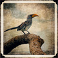 User picture for Matthieu Moure