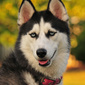 User picture for Jeff Morrow-Lucas
