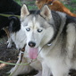 User picture for Jim Jordan