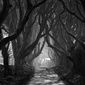 User picture for Matthew Woodhouse