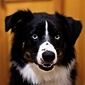 User picture for Tom C