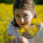 User picture for Alysa Tarrant