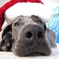 User picture for LEO RODRIGUEZ