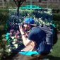 User picture for Chris Hoots