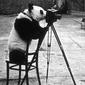 User picture for Wellington Alvez