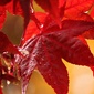 User picture for maggie harrington