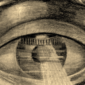 User picture for F ZP