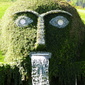 User picture for Peter Ellis
