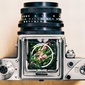 User picture for Kurt Liu
