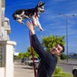 User picture for wasfi matoussi