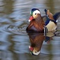 User picture for David Patterson
