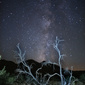 User picture for William Krause