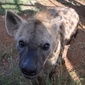 User picture for Lisa Casey