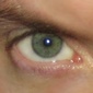 User picture for JOHN WHEELER