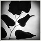 User picture for Robert Dann