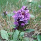 User picture for Thomas Turner