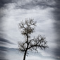 User picture for Scott Hays