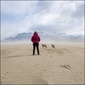 User picture for Dani Lefrancois