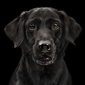 User picture for Robin Edwards