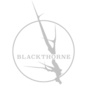 User picture for Blackthorne Studio