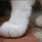 User picture for Alexandra Raileanu