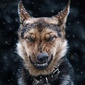 User picture for Albert P