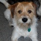 User picture for John Kane