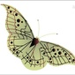 User picture for Mahiuddin Sharif