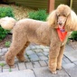 User picture for Chuck Fralick