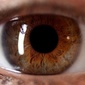 User picture for Amin Dindoost
