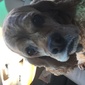 User picture for Steve Falor