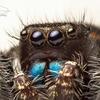 User picture for Jonathan Willner