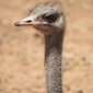 User picture for Sean Parker