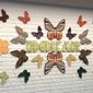 User picture for Dokar Stone