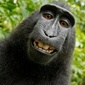 User picture for Bibi Haribi