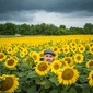 User picture for Bernhard Wimmer
