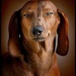 User picture for BubbA Gumphy