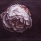 User picture for marina de wit