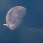User picture for Frank Furter
