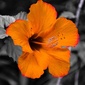 User picture for Nicholas Herron