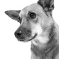 User picture for Allen Skiles