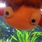 User picture for Lee Ahegg