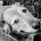 User picture for Anand Rao