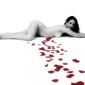 User picture for Robert Wood