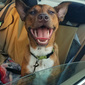 User picture for Dave L